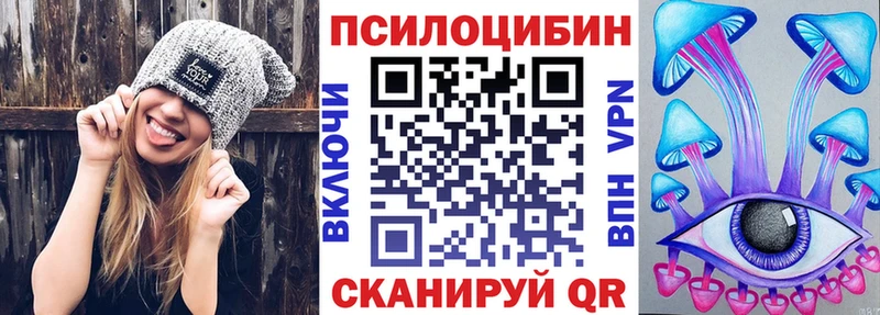 kraken зеркало Южа Галлюциногенные грибы Psilocybe
